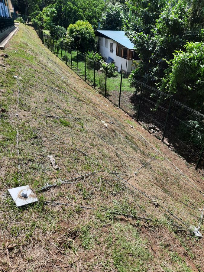 La végétation a repris à travers le grillage ancré