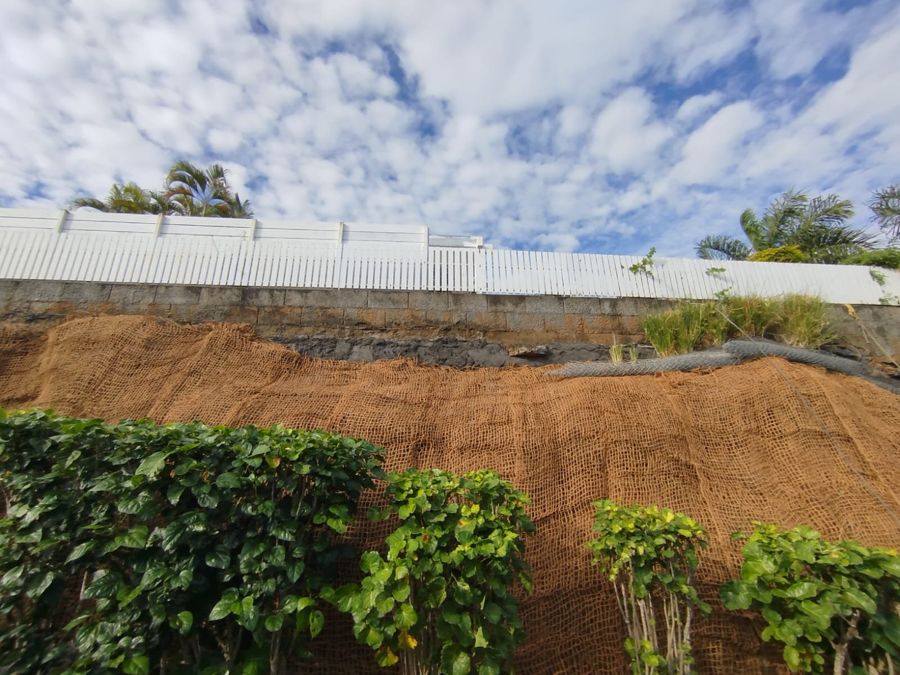 Le talus protégé, sous la clôture de la propriété