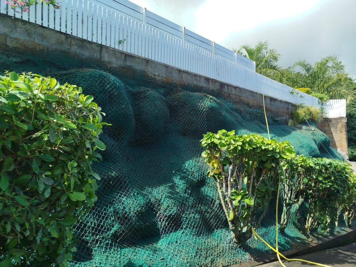 Le talus après ensemencement par projection hydraulique