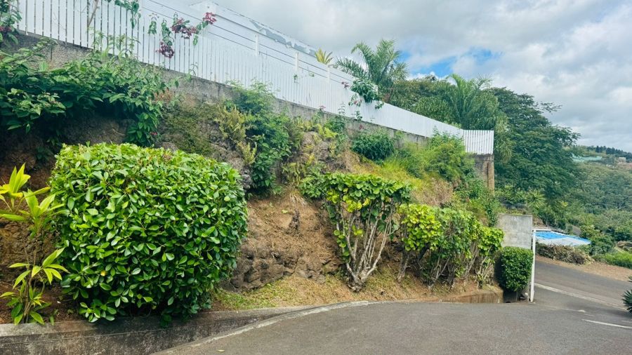 Le talus avant travaux